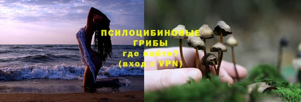 СК Абаза