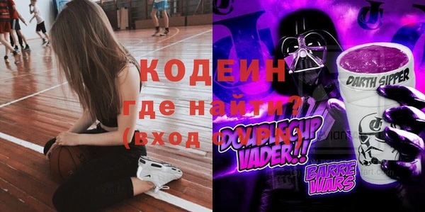apvp Ельня
