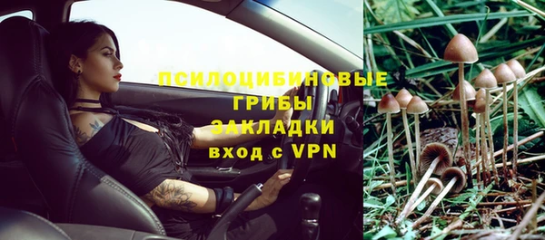дживик Алзамай