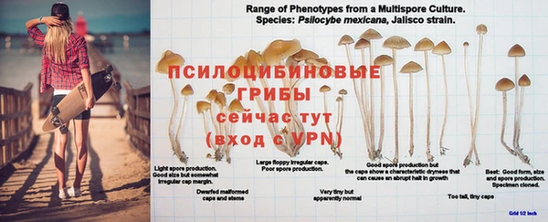 спиды Абдулино