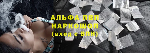 СК Абаза