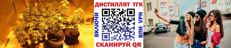 Дистиллят ТГК THC oil  Чухлома 