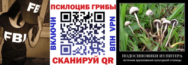 Галлюциногенные грибы мицелий  закладка  Чухлома 